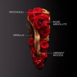 Shiseido Ginza Intense EDP 30 Ml -Clarins Beauty Butik 7686141996942