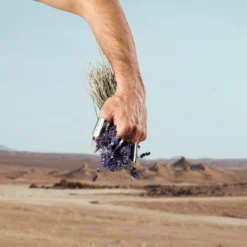 Dolce & Gabbana K Pour Homme EDT 50 Ml 13 Dolce & Gabbana K Pour Homme EDT 50 Ml -Clarins Beauty Butik 80579711814835