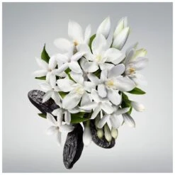 Carolina Herrera Good Girl EDP Travel Spray 3 X 20 Ml -Clarins Beauty Butik carolina herrera good girl edp travel spray 3 x 20 ml 1657872978