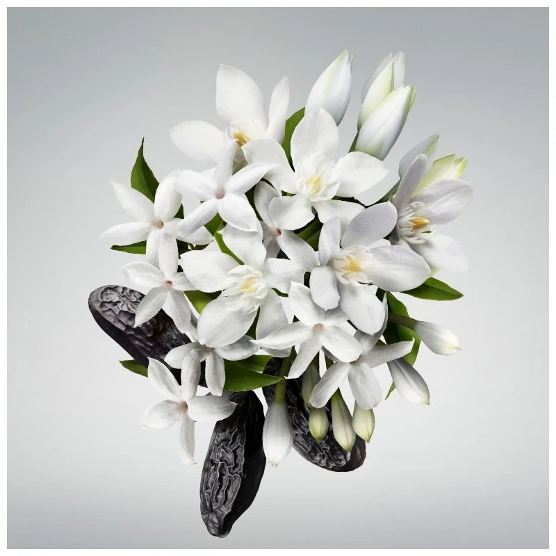 Carolina Herrera Good Girl Shiny Leg Elixir 150 Ml 3 Carolina Herrera Good Girl Shiny Leg Elixir 150 Ml - Billede 2