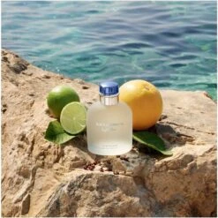Dolce & Gabbana Light Blue Pour Homme EDT 75 Ml -Clarins Beauty Butik dolce gabbana light blue pour homme edt 75 ml 1655791909