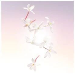 Lancome Lancôme Idôle EDP 50 Ml -Clarins Beauty Butik lancome idole edp 50 ml 1566549626