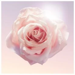 Lancome Lancôme Idôle EDP 75 Ml -Clarins Beauty Butik lancome idole edp 75 ml 1566551298