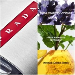 Prada Luna Rossa Carbon Men EDT 50 Ml -Clarins Beauty Butik prada luna rossa carbon men edt 50 ml 1628140302