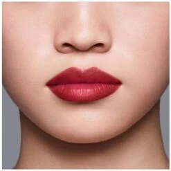 Shiseido LipLiner InkDuo - 09 Scarlet -Clarins Beauty Butik shiseido lipliner inkduo 09 scarlet 1591103169